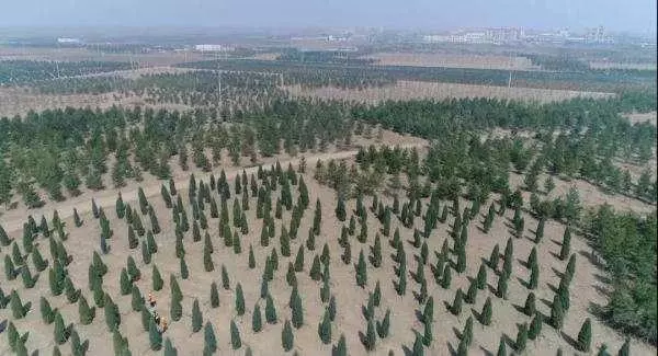 1618409345117468.jpg u=3880122617,1478690696&fm=26&fmt=auto&gp=0.jpg