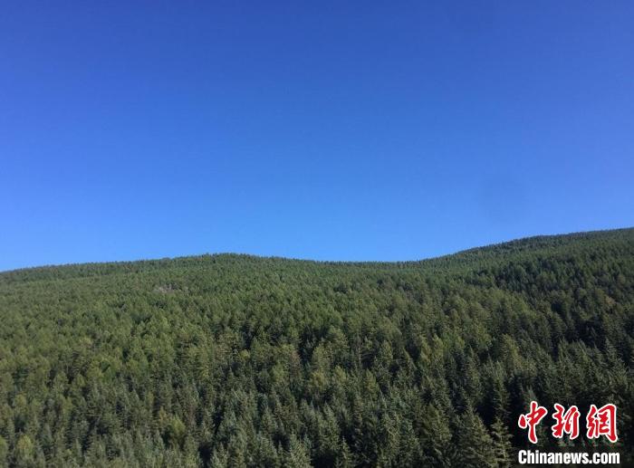 山西公布绿色家底70余年森林面积增长近10倍